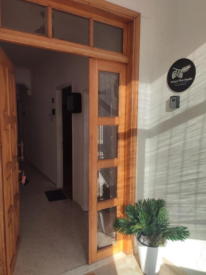 Amaya Pine Studio باناجيا المظهر الخارجي الصورة