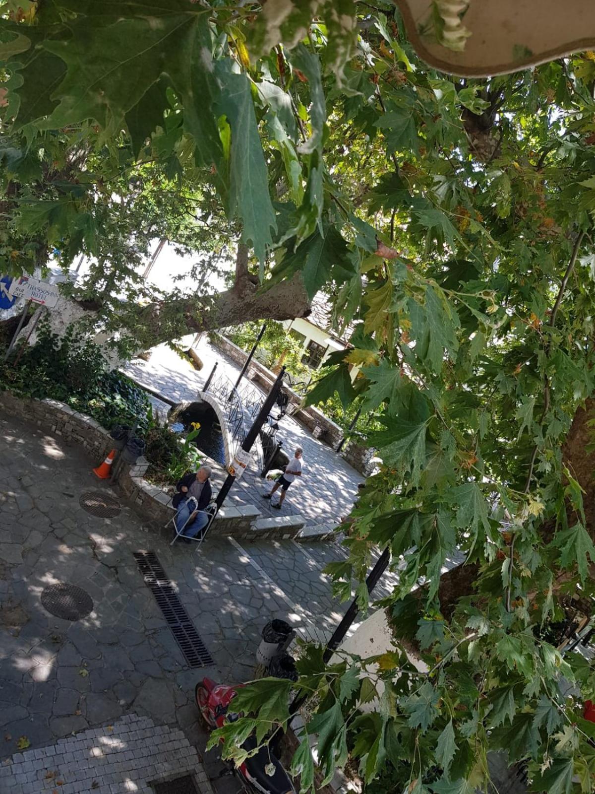 Amaya Pine Studio باناجيا المظهر الخارجي الصورة