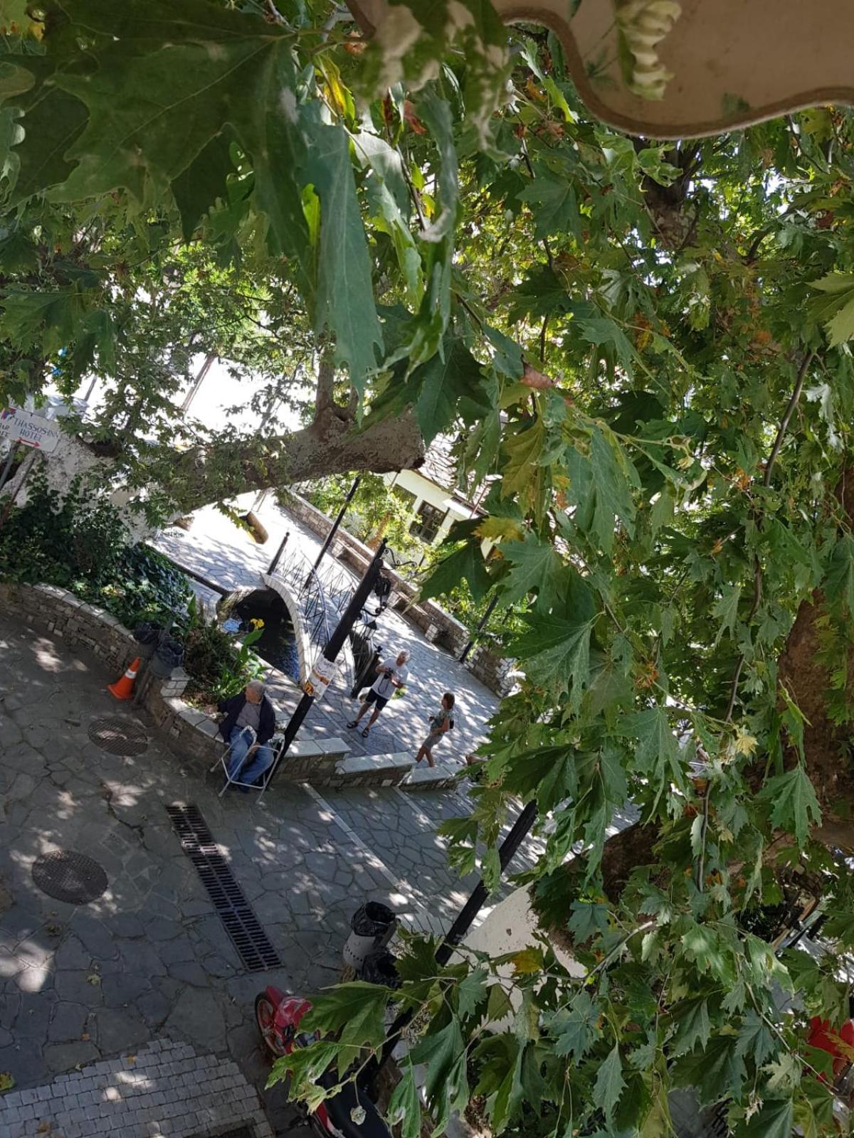 Amaya Pine Studio باناجيا المظهر الخارجي الصورة